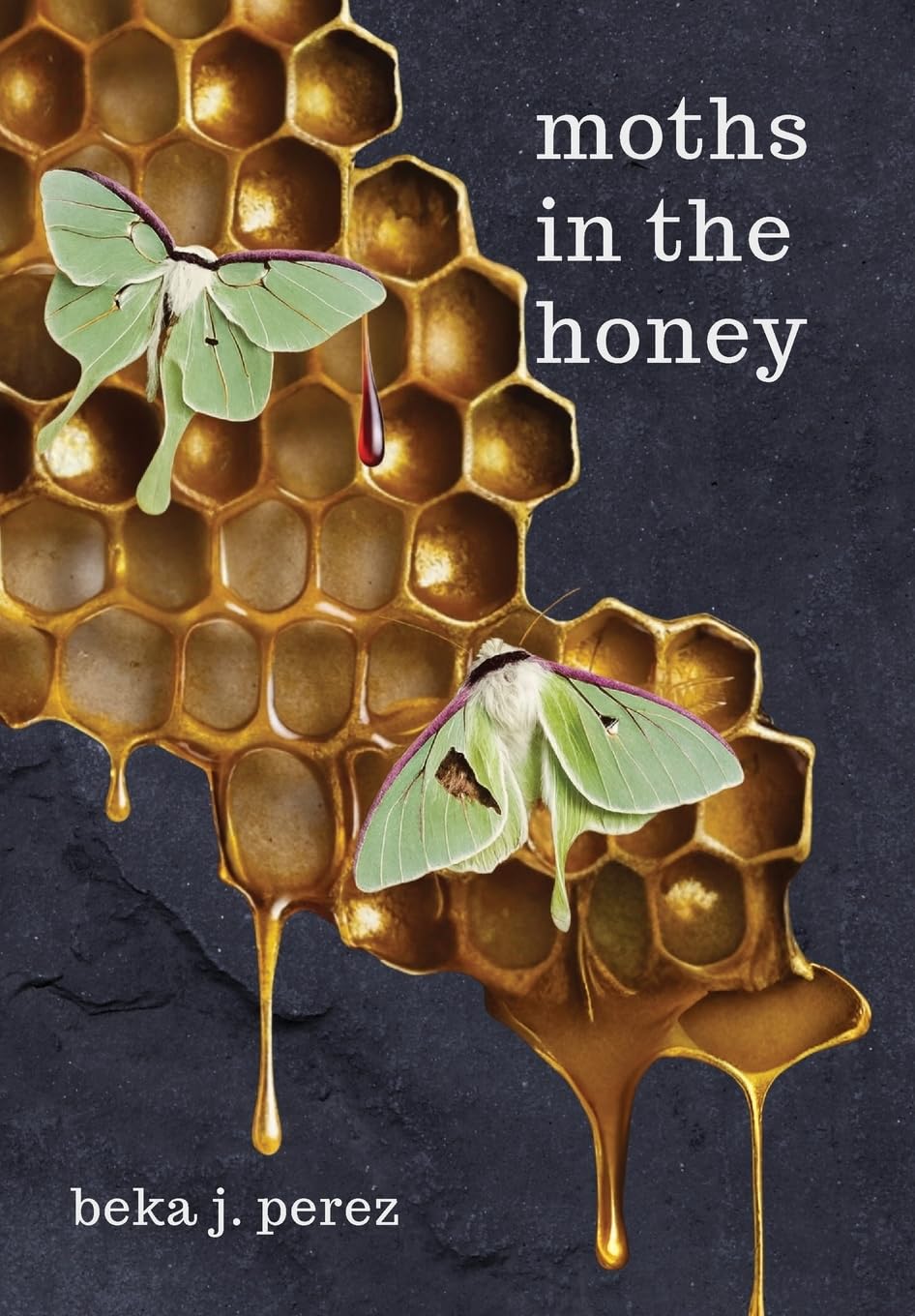 Moths In The Honey: A Novel