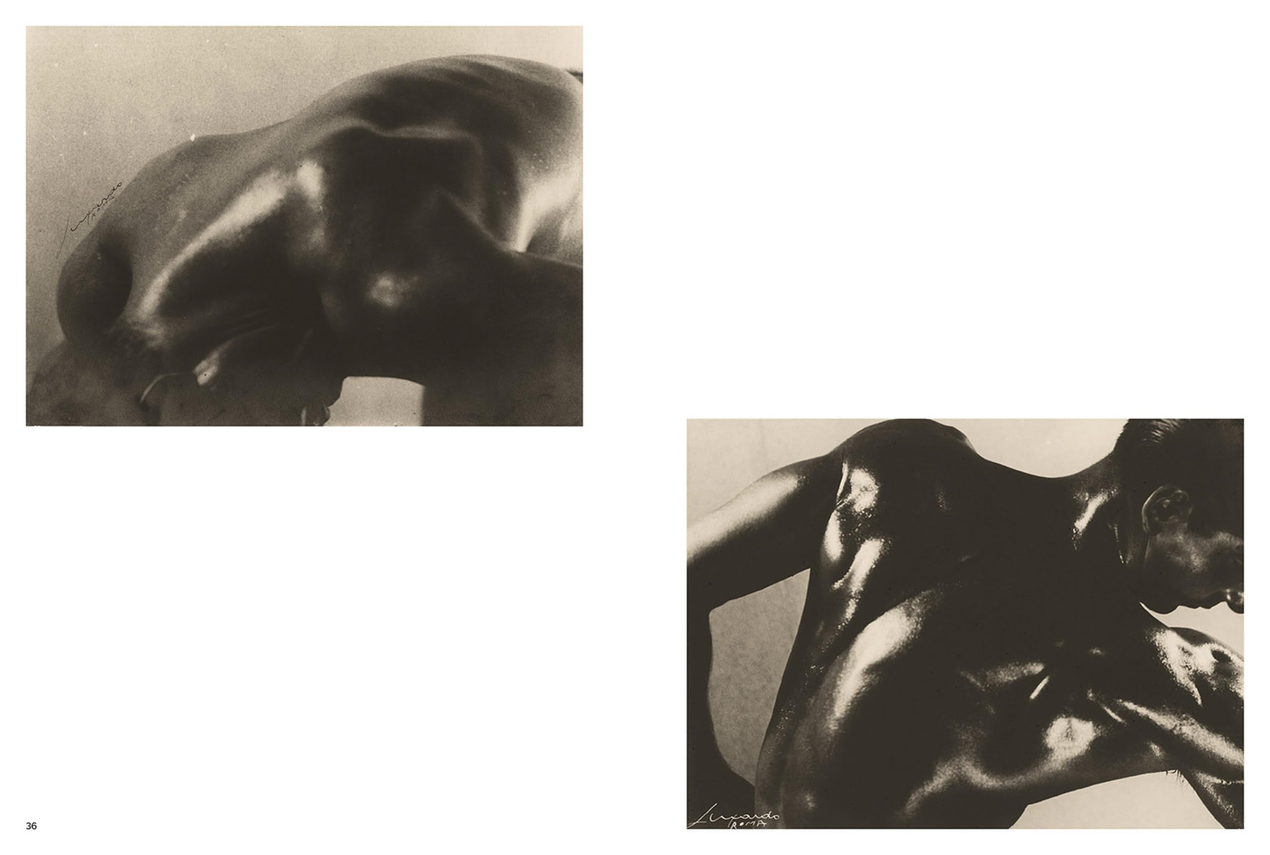 Elio Luxardo. Nudes. Ediz. italiana e inglese