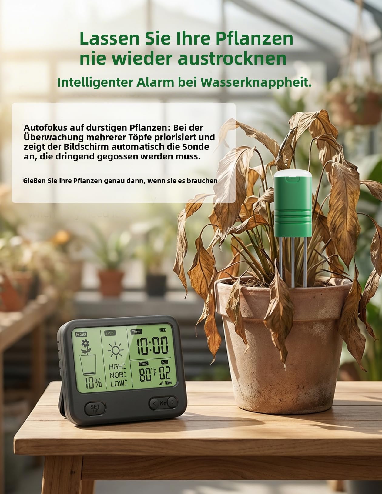 Humidimètre sans Fil pour Sol avec récepteur LCD – Capteur 3-en-1 à 3 sondes (humidité, température, lumière), portée RF de 230 Pieds, étanche, Longue autonomie (Sol 2 Capteurs)