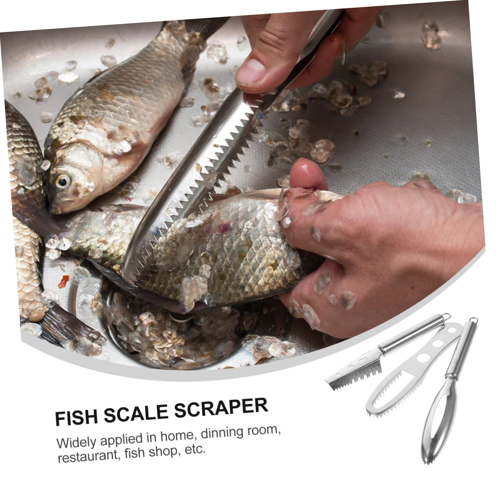 Cabilock 3 Pcs Stainless Steel Scale Efficient Fish Scraping Tools for Quick and Safe Scale Removal Easy to Clean Kitchen Gadget Compact and Practical Design