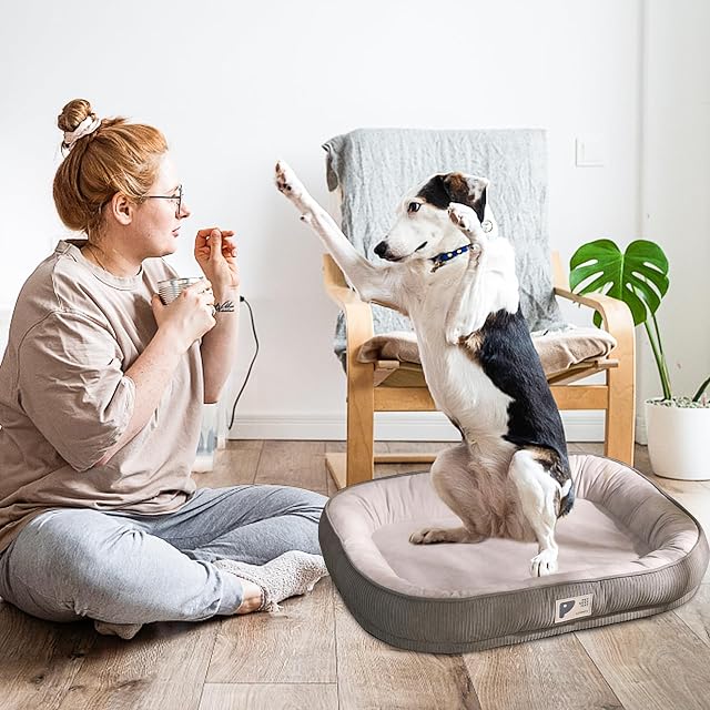 Foto 2 de 7 de PETCUTE Camas para Perros Pequeños y Perros Medianos,Lavable Camas para Gatos con Cubierta…