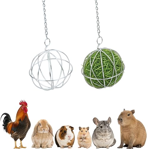 Ymswjgj 2 bolas de acero inoxidable alimentador de conejo accesorios de acero inoxidable para roedores bola…