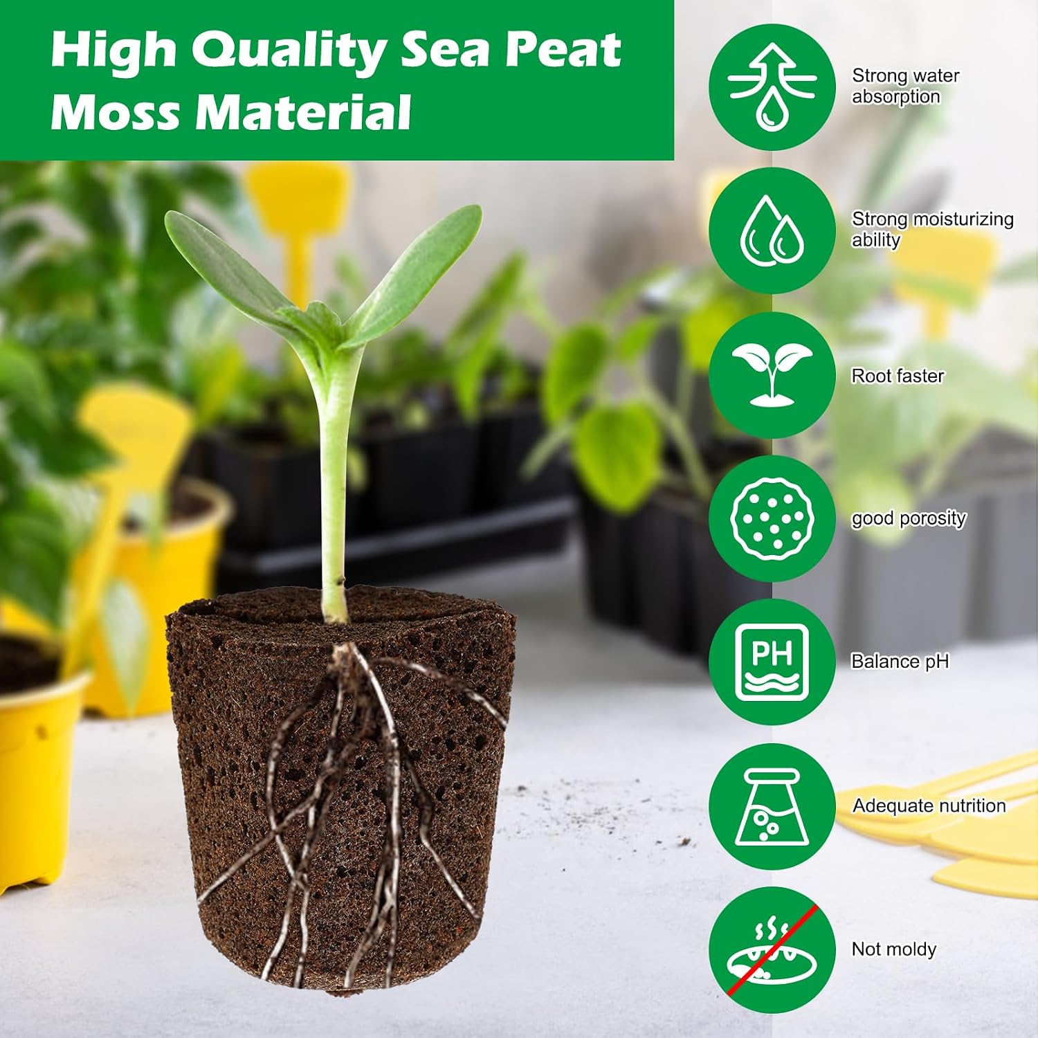 50 Pcs Square Hydroponics Pods, Seed Starter Sponge Pods for Seed Starter Plugs Grow Sponges for Indoor Outdoor Gardening