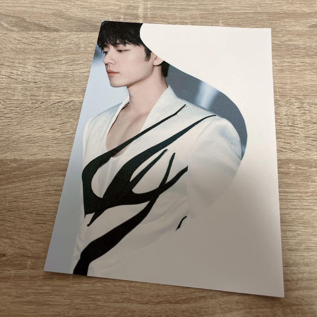 陳情令 肖戦 微博之夜キラキラ満天星A4ポスター12枚セット① Amazon.co.jp: 陳情令 肖戦 微博之夜満天星A4ポスター12枚セット