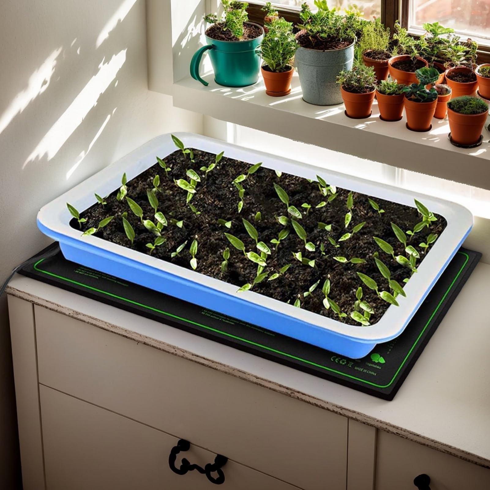 Heizmatte Für Aussaat,Keimlings Wärmematte 50 x 25 cm - Wiederverwendbare Temperaturregulierbare Unterlage Für Innen- & Außenbereich Garten Blumenanzucht