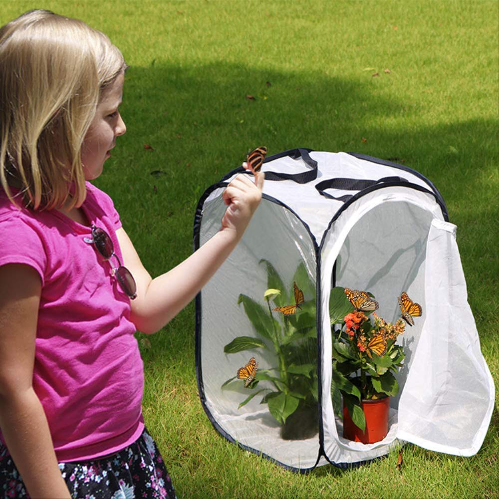 Insecte et Papillon Habitat Net Terrarium Pop up Pliable Blanc Kids Butterfly Net Cage avec poignées 40 * 60 cm
