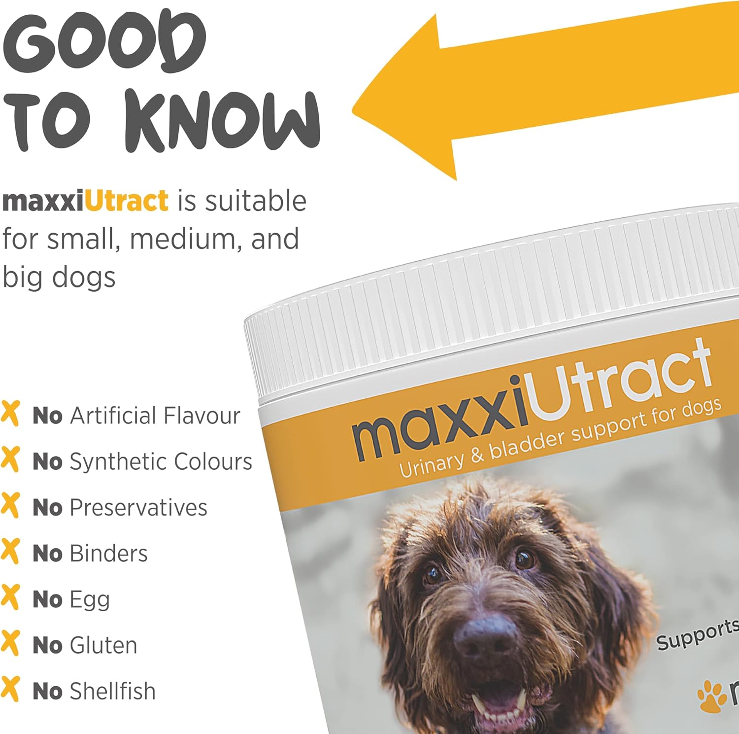 maxxiUtract Urinary & Bladder Support for Dogs – Natural Powder Supplement for Urinary Tract Health, Bladder Comfort & Ongoing Urinary System Support – D-Mannose & Cranberry Formula - 5.3 oz
