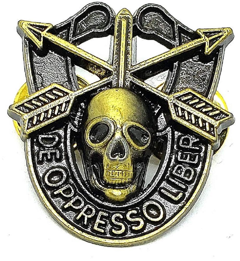 Amazon.com: Special Forces Skull Crest DI Pin Uniform US