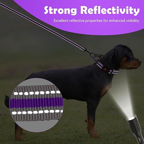 Miniatura 5 de Collar Martingala para perros, juego de collar y correa Martingala reflectante acolchado de neopreno suave con hebilla de seguridad, collar