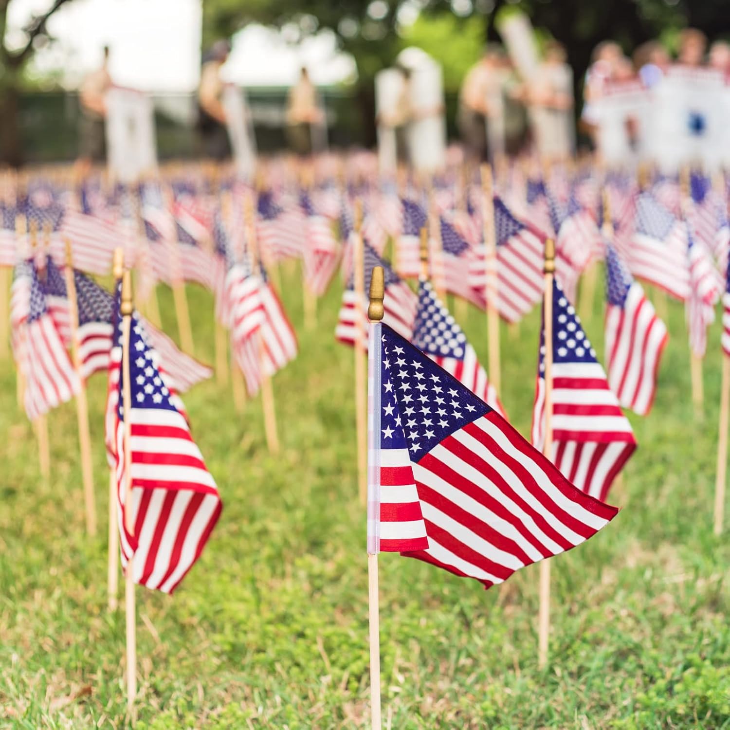 Tudomro 250 Pack Small American Flags on Stick 8x12 Inch Mini American Flag US Hand Held Stick Flags Mini Flags Patriotic Decor for Veterans Day 4th of July Memorial Independence Day Parades Supplies