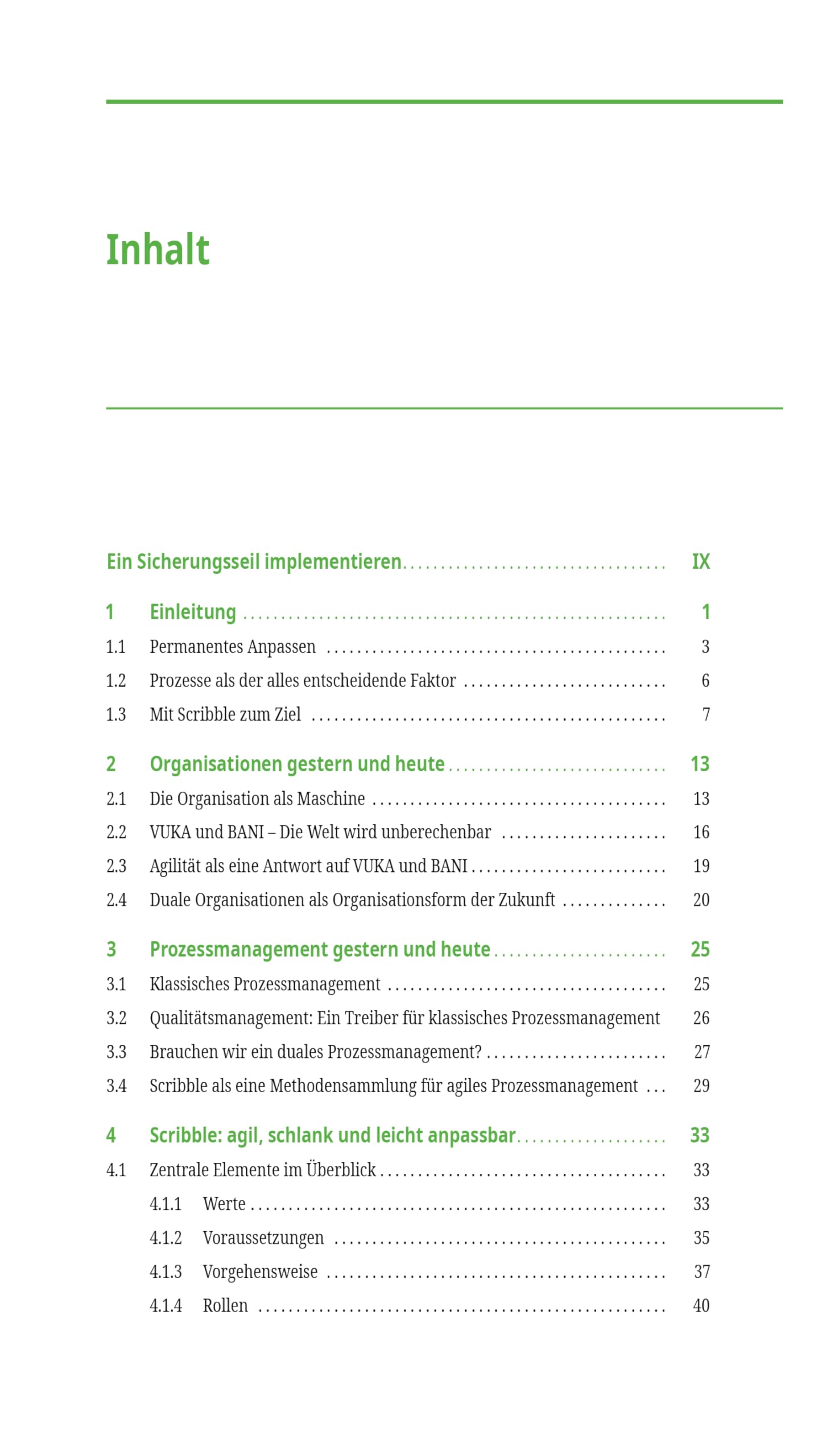 Das Handbuch für agiles Prozessmanagement: Mit Scribble Prozesse und Organisationen zukunftsfähig gestalten
