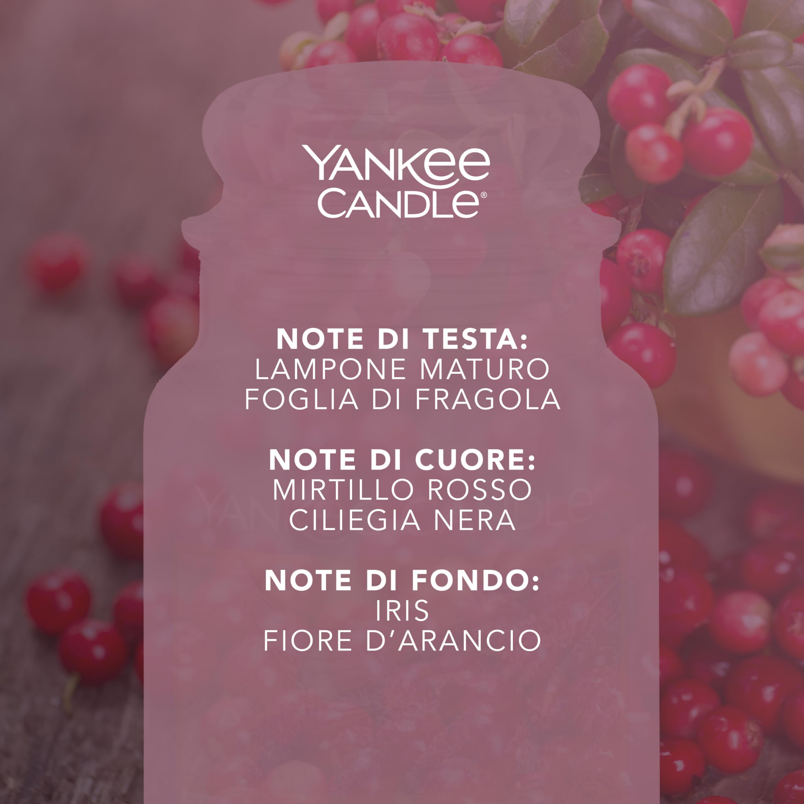 Yankee Candle Candela profumata in giara grande, Cranberry Chutney, Durata Fino a 150 Ore, Regali ottimi per le donne