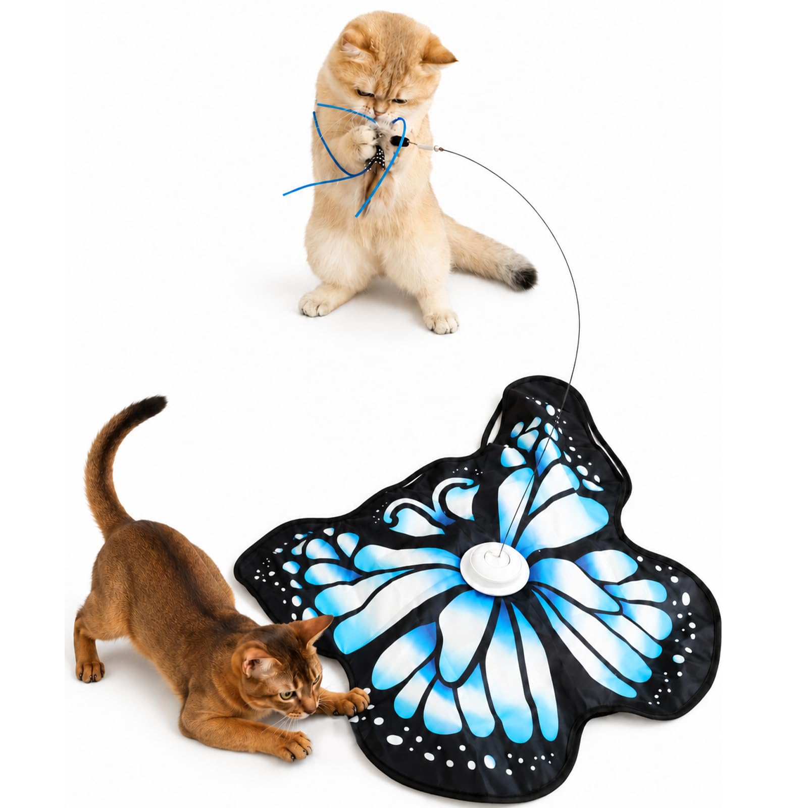 Cat Toys, Interactive Cat Toy for Indoor Cats Adult, Hide-and-Seek Cat Toy
