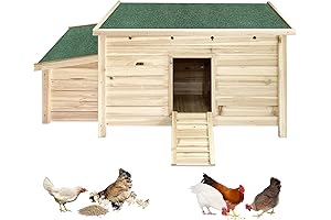 Sturdy Wooden Chicken Coop with Accessible Chicken Ramp