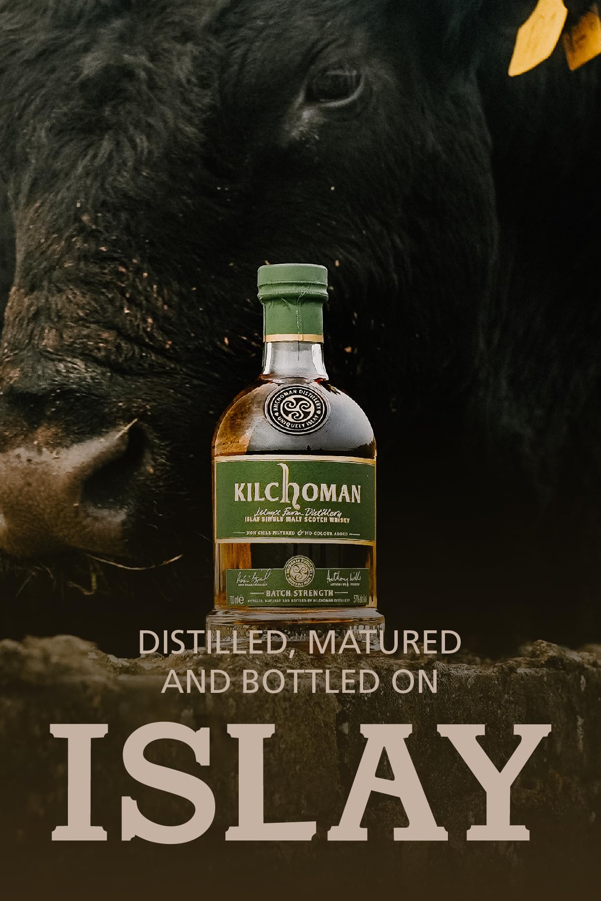 Kilchoman BATCH STRENGTH Islay Single Malt Scotch Whisky 57% Vol. 0,7l in Giftbox