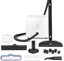Dupray Neat Steam Cleaner Kit