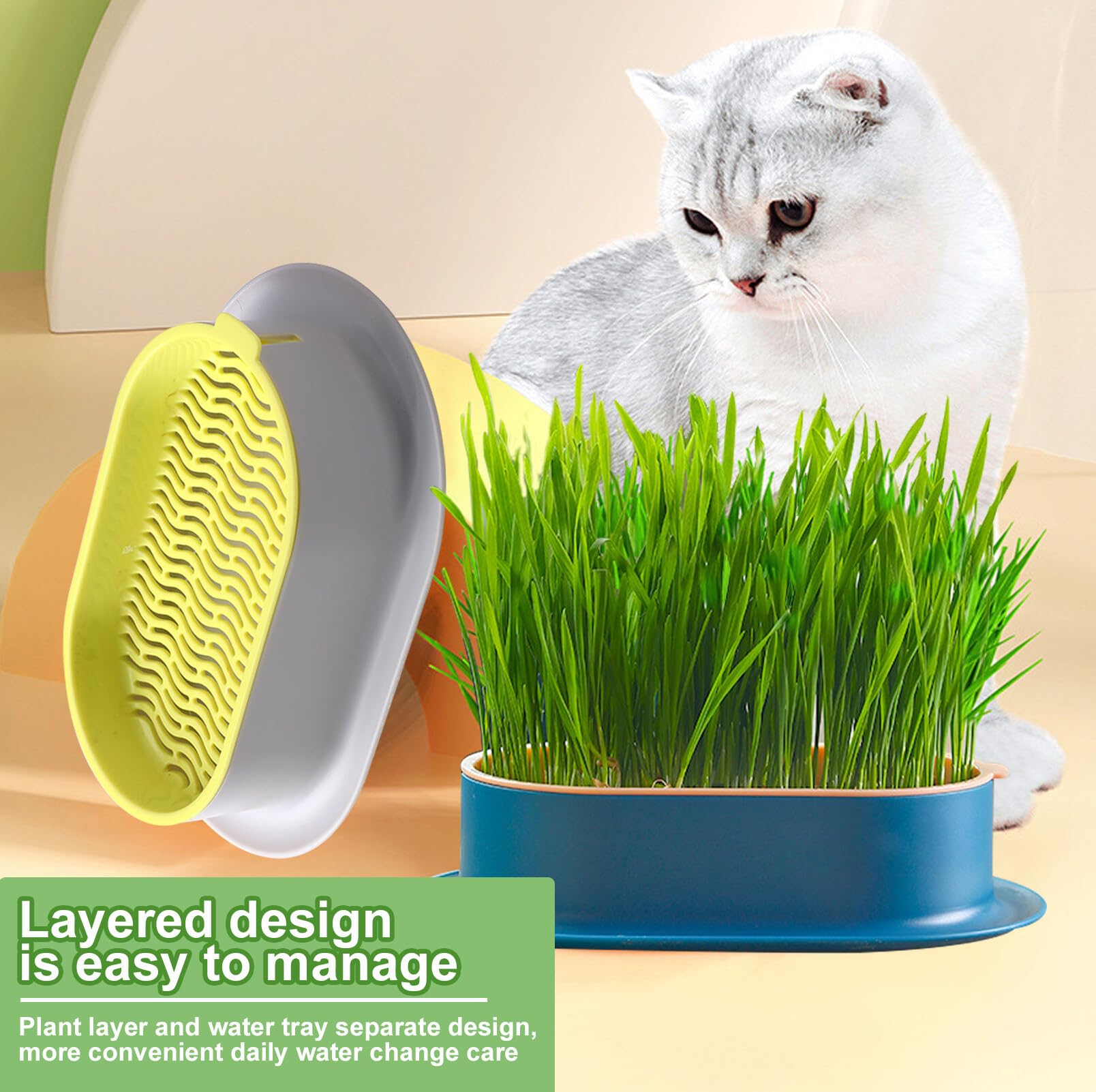 2 cuencos para plantas de hierba de gato, bandeja para hierba de gato, bandeja para gérmenes, bandeja de germinación, semillas, germinación, bandeja de germinación, bandeja de semillas para