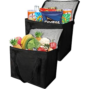 best insulated bags for frozen food