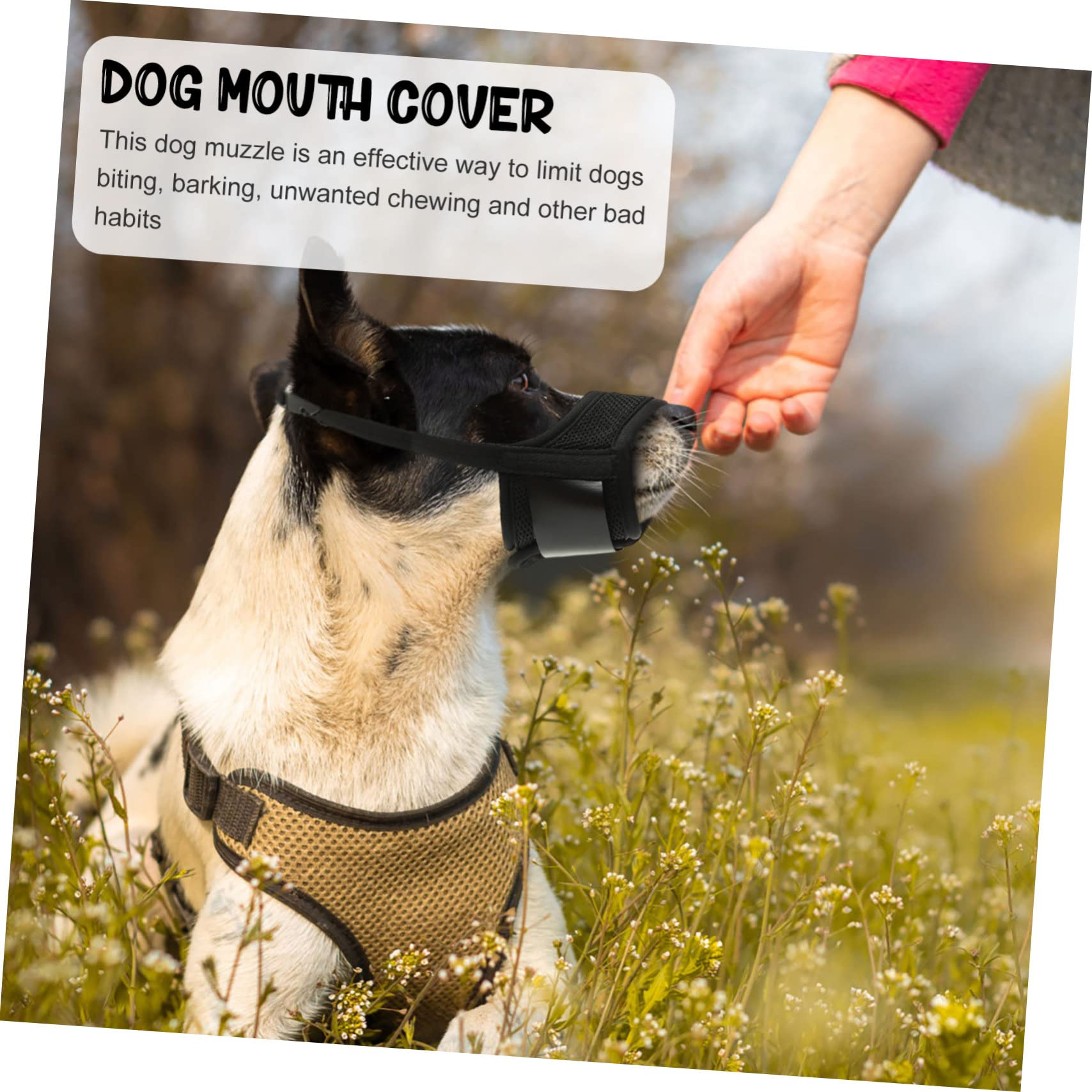 POPETPOP Lot de 5 Muselières Respirantes Et Confortables pour Chiens de Taille