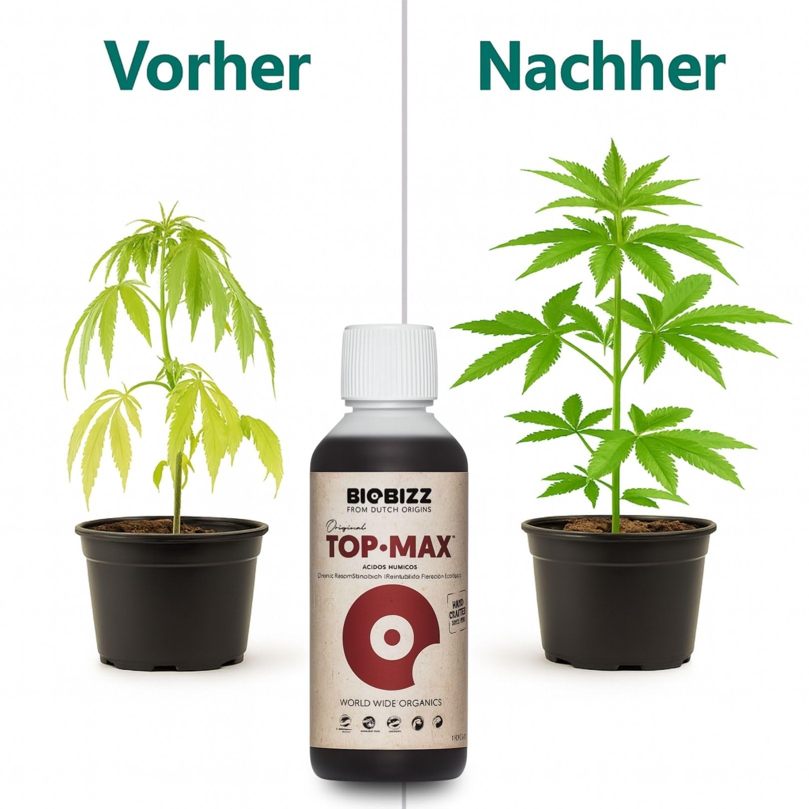 Weedness BioBizz Top Max 1 litres - Engrais Naturel Cultures de tomates en intérieur Orchidées liquides Bonsaïs biologiques NPK