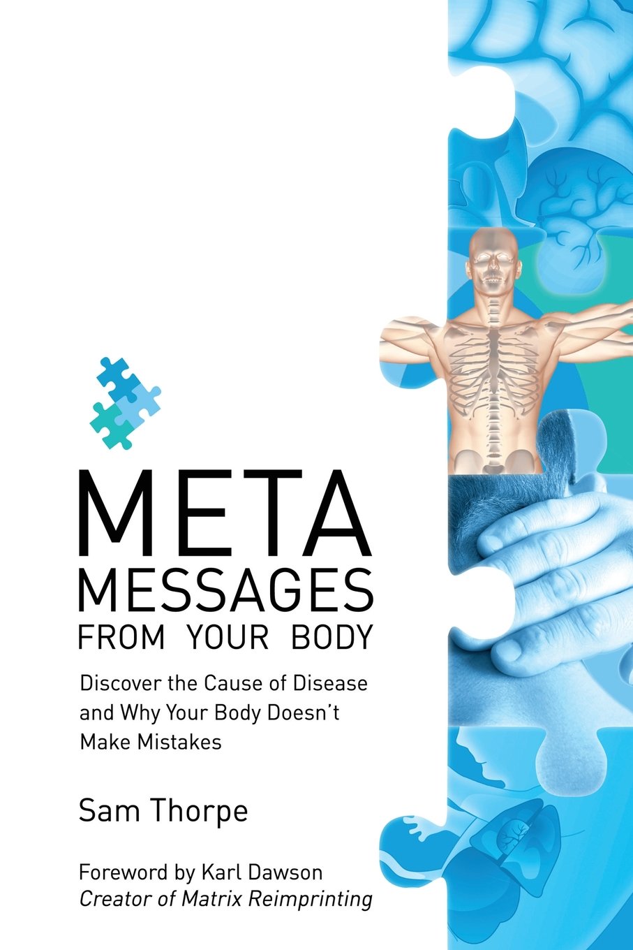 Meta Messages from Your Body: Discover the Cause of Disease and Why Your Body Doesn't Make Mistakes Paperback – October 18, 2013
