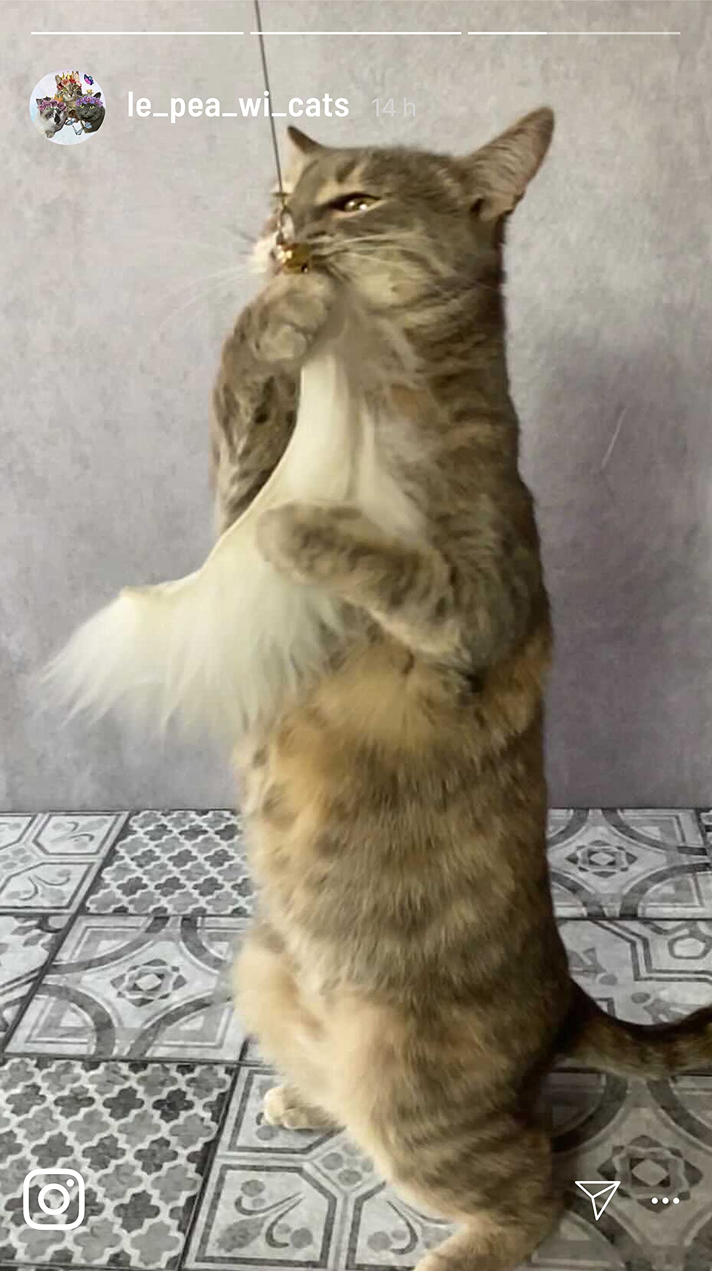 Jouet de pêche pour chat - Fil long et solide avec 4 pendentifs interchangeables avec plumes - Cuir véritable - Fabriqué à la main en Allemagne - Jouet naturel pour chat