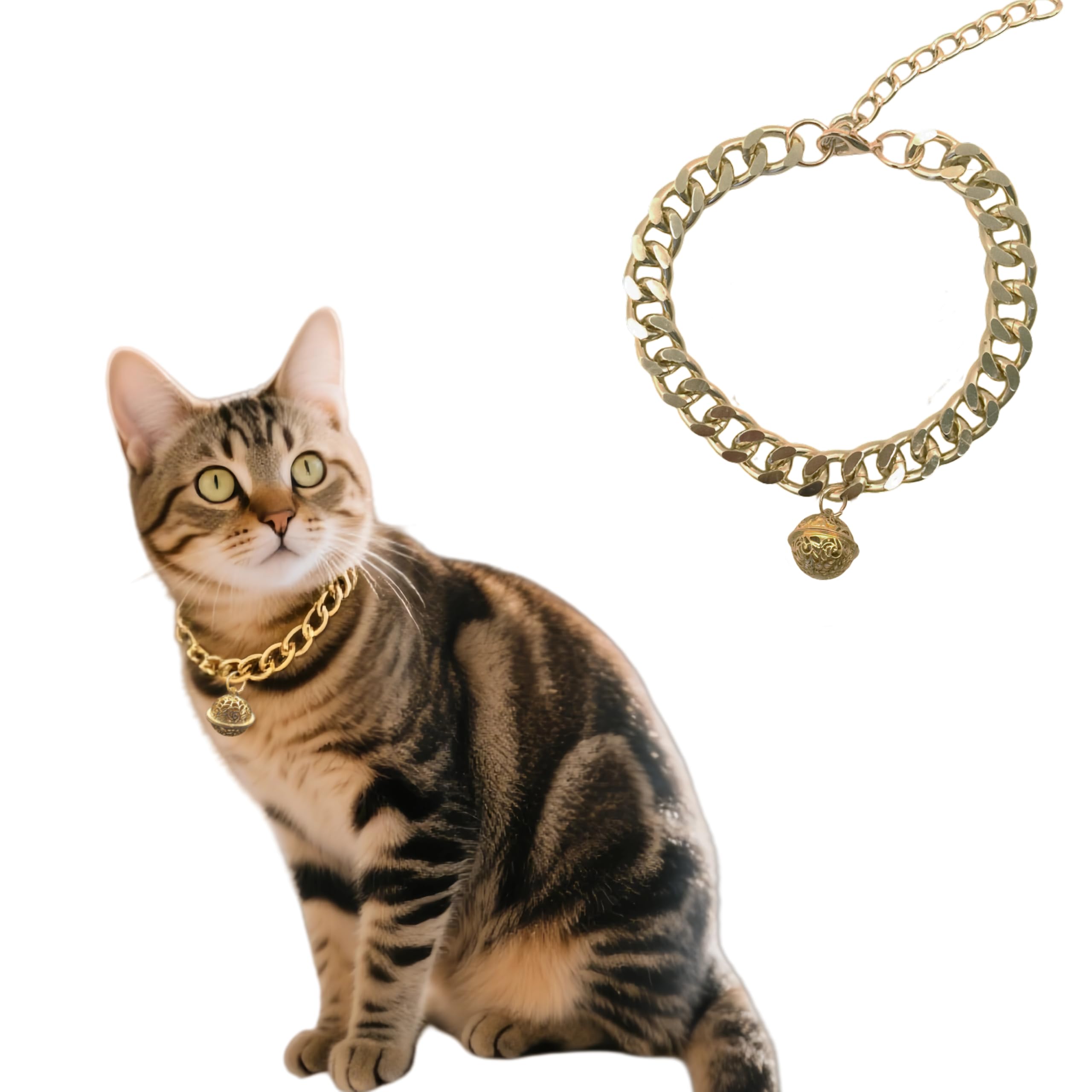 Collar de cadena de gato dorado para sesiones de fotos y paseos elegantes de mascotas