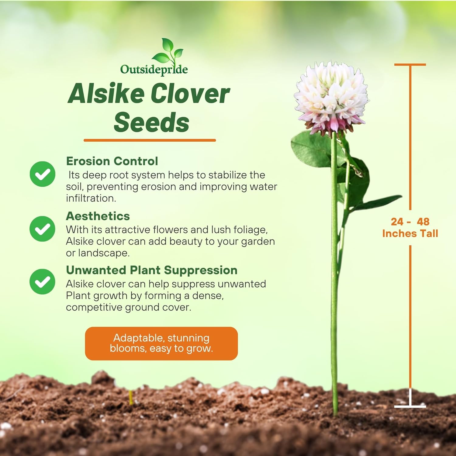 Outsidepride Biennial Alsike Clover Seeds for Lawn - 10 lbs. Nutrient-Rich, Drought Resistant Cover Crop Seeds, Ideal For Ground Cover, High-Yield Forage, Hay, Pastures, Food Plots & Grazing Livestock