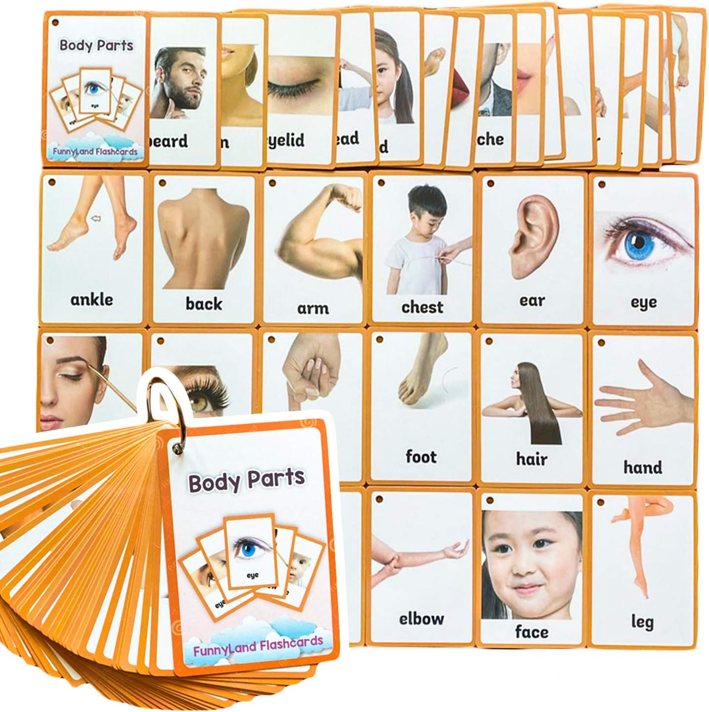 34PCS/Set Body Parts Kids Gifts English Flash Cards Pocket Card Educational Learning Baby Toys for Children Pre-Kindergarten