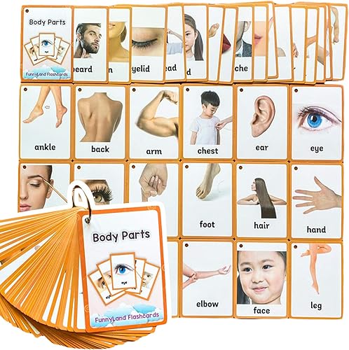 34 unids/set piezas del cuerpo regalos niños tarjetas flash inglés tarjeta de bolsillo educativo aprendizaje bebé juguetes para niños pre-jardín de