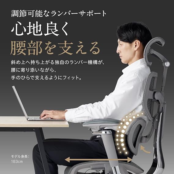 HINOMI X2 Pro Ergonomic Chair with 4 Panels to Fit Your Body, Ergonomically Designed for Long Working Hours, Grey