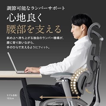HINOMI X2 Pro Ergonomic Chair with 4 Panels to Fit Your Body, Ergonomically Designed for Long Working Hours, Grey