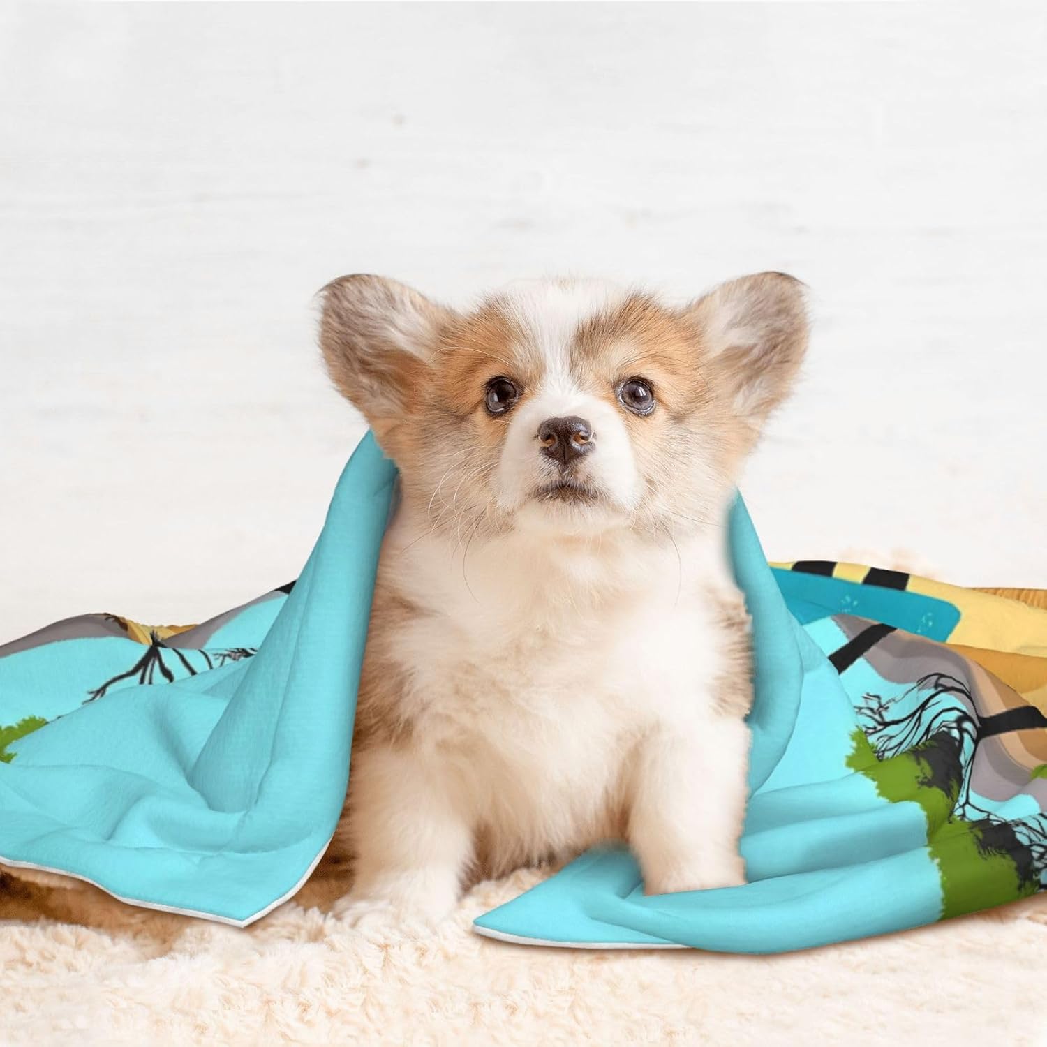 African Women Print Soft Plush Pet Blanket, Washable Dog Blanket, Cat Fleece Throw, Puppy Bed Crate Mat & Sofa Couch Protector - Large