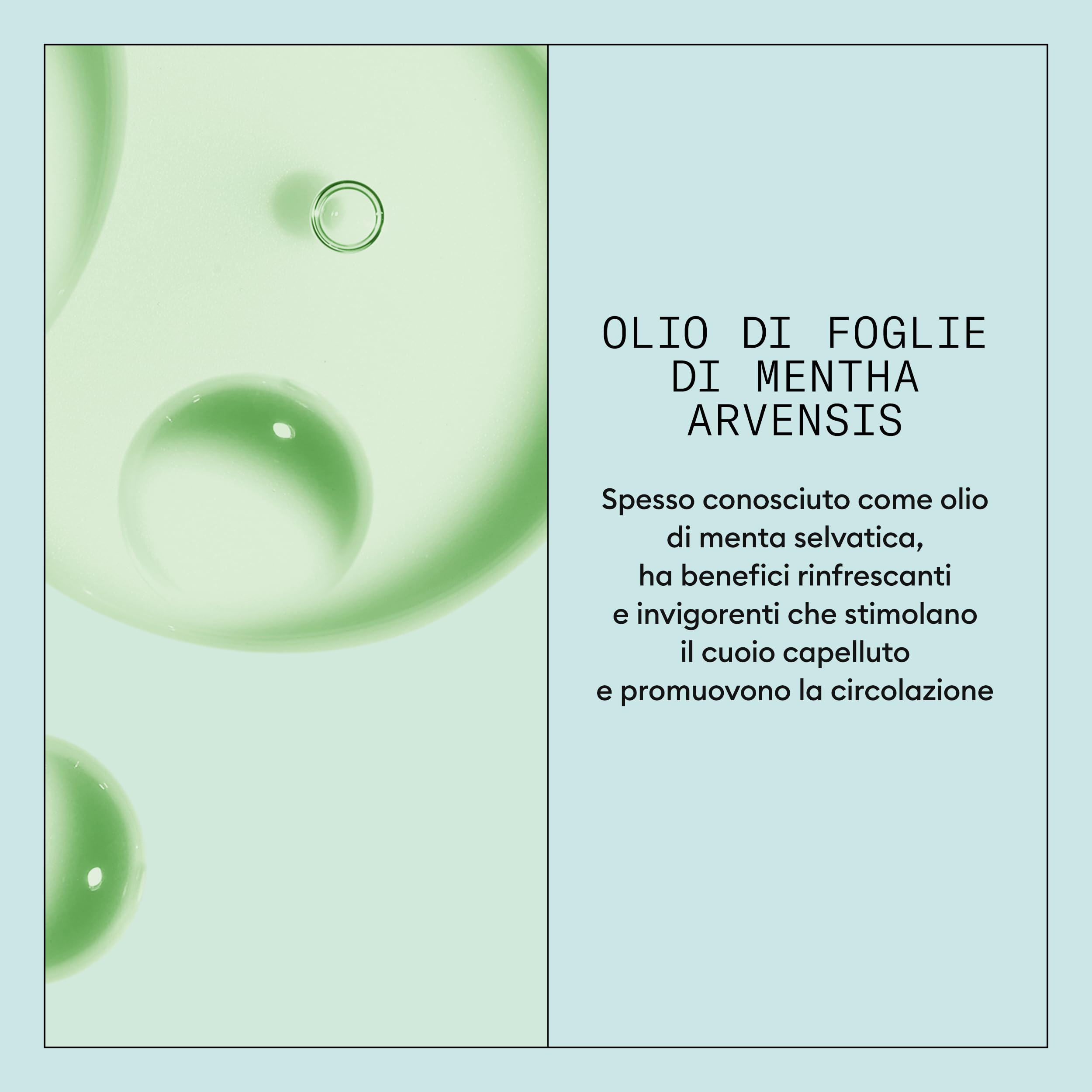 Nioxin Scalp Recovery System Siero Lenitivo per Cuoio Capelluto - Trattamento per Cute Irritata, Secca e Squamosa - con Zinco Piritione (100ml)
