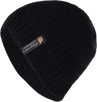 BCDlily Fleece Lined Knit Beanie Hat Winter Hats for Women Men Warm Knit Ski Cap