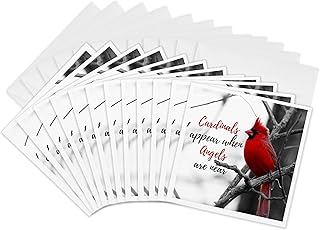 3dRose Greeting Cards - Cardinals Appear When Angels Are Near on a Photo of a Male Cardinal, 12 Pack - A Meaningful Cardinal Sympathy Gift, Red Cardinal Gifts, Cardinal Charm, Angel with Cardinal