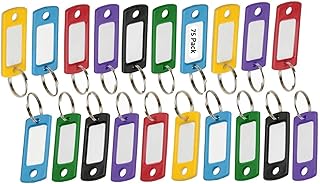 Lucky Line Flexible Colored Plastic Key Tag with 3/4" Split Ring in Assorted Colors, 75 Key Tags (16975)