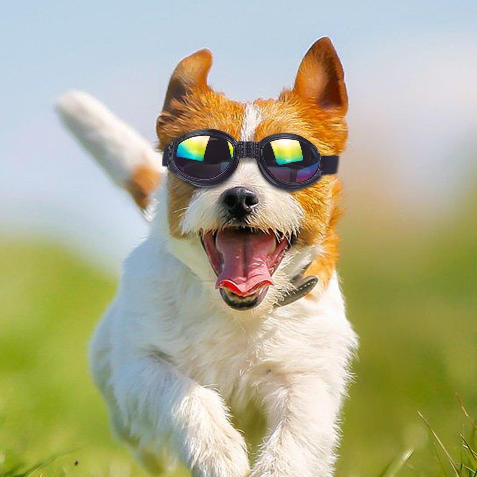 Occhiali da sole per cani - Occhiali per animali domestici da 4,72 pollici Protezione UV Cinturino regolabile | Dog Eye Wear - Ochiali per animali domestici elastici e comodi per l'uso in viaggio con