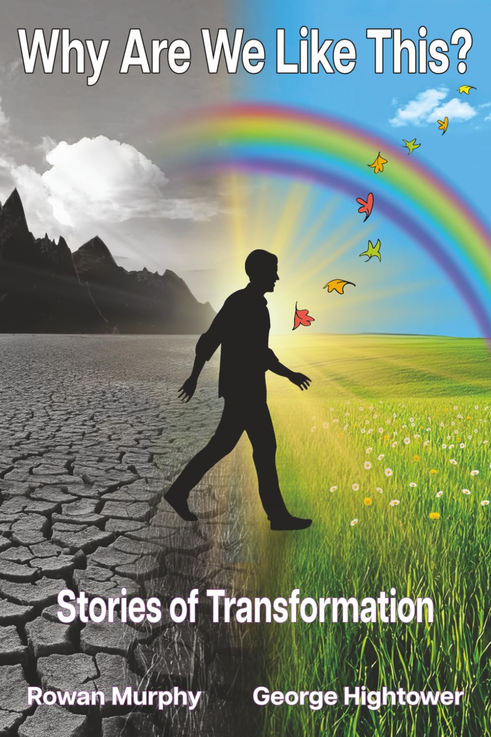 Why Are We Like This?: Stories of Transformation      Paperback – November 9, 2025