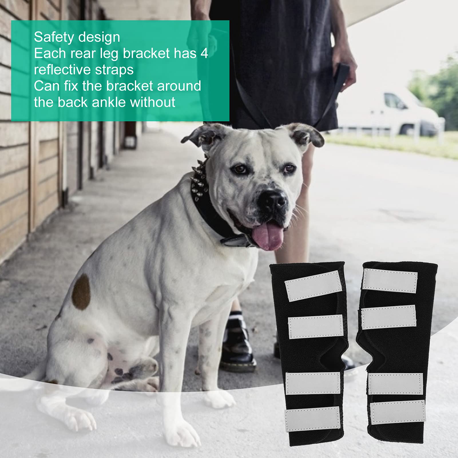 Hunde-Beinbandage Fürs Vorderbein: Stützt Sprunggelenk & Handgelenk, Hilft Bei Arthritis, Verstauchungen & Verletzungen – Wärmend & Stabilisierend