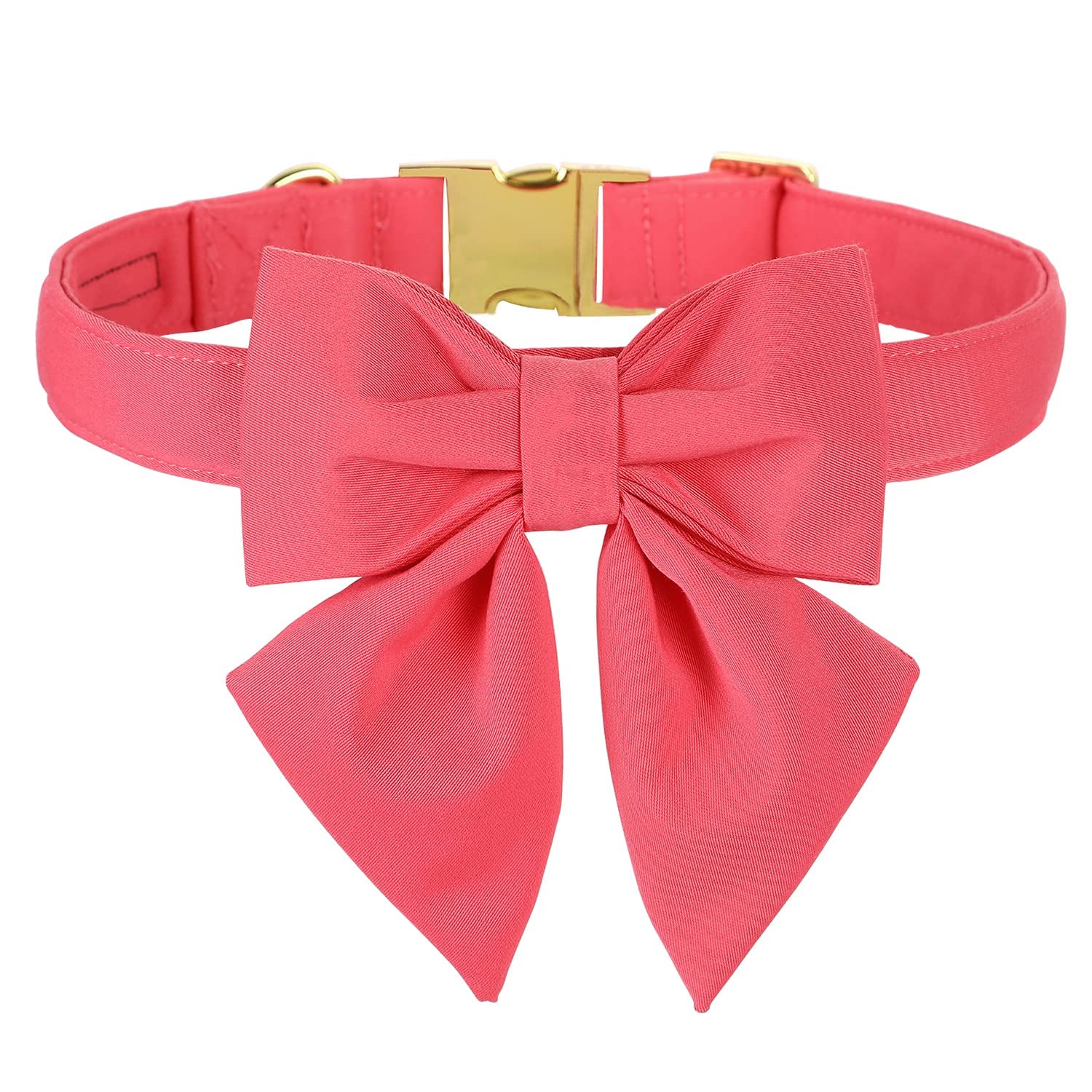 Unique style paws Hundehalsband aus Baumwolle mit Fliege, Dauerhaft und Komfortabel Halsband in 12 Farben, Verstellbares Halsband für Kleine Hunde, Welpen und Katzen mit Goldener Metallschnalle