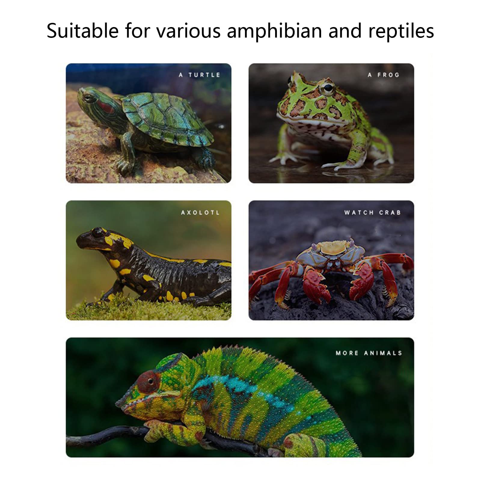 Realistische Baumrinde/Steintextur, Schildkröte, Sonnenplattform, schwimmende Aquarien, Kletterschildkrötenleiter