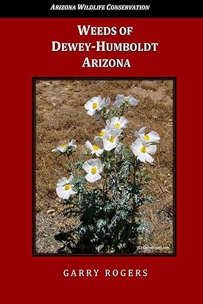 Weeds of Dewey-Humboldt, Arizona