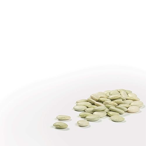 Miniatura 3 de Camellia Brand Frijoles verdes secos para bebé, 1 libra (paquete de 2)