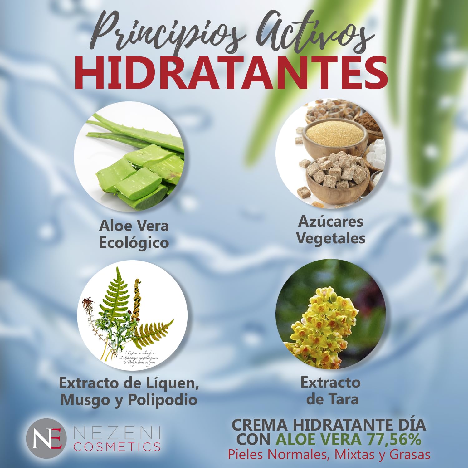 Nezeni Crema Hidratante Facial Aloe Vera 77,56% | 17 Principios Activos | Aumenta Elasticidad de la Piel | Crema Facial Día Para Piel Normal, Grasa y Mixta BAJA EN CONSERVANTES