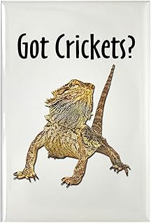 CafePress Bearded Dragon Got Crickets Rectangle Magnet, 3"x2" Refrigerator Magnet