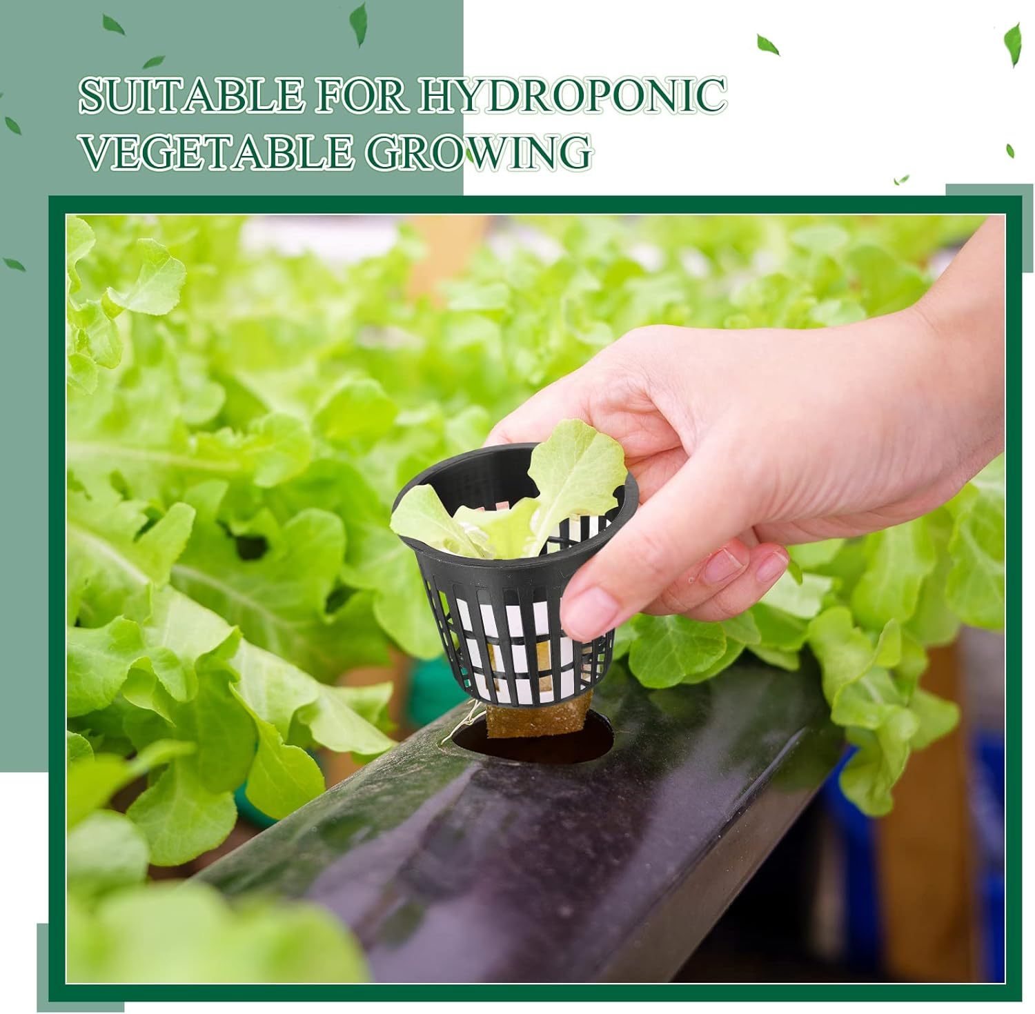 Yinder 200 Pack Net Pots 3 Inch Net Cups Thin Lip Hydroponics Supplies Garden Slotted Mesh Aquaponics Garden Slotted Mesh Pot Hydroponics