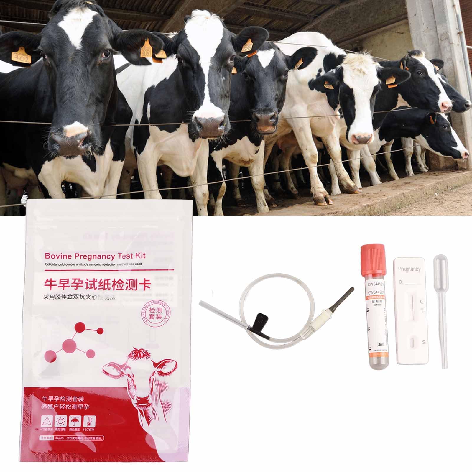 Kit de prueba de embarazo para vacas herramientas completas detección temprana alta sensibilidad resultados rápidos y precisos operación sencilla compatible con vacas mayores de 28 días