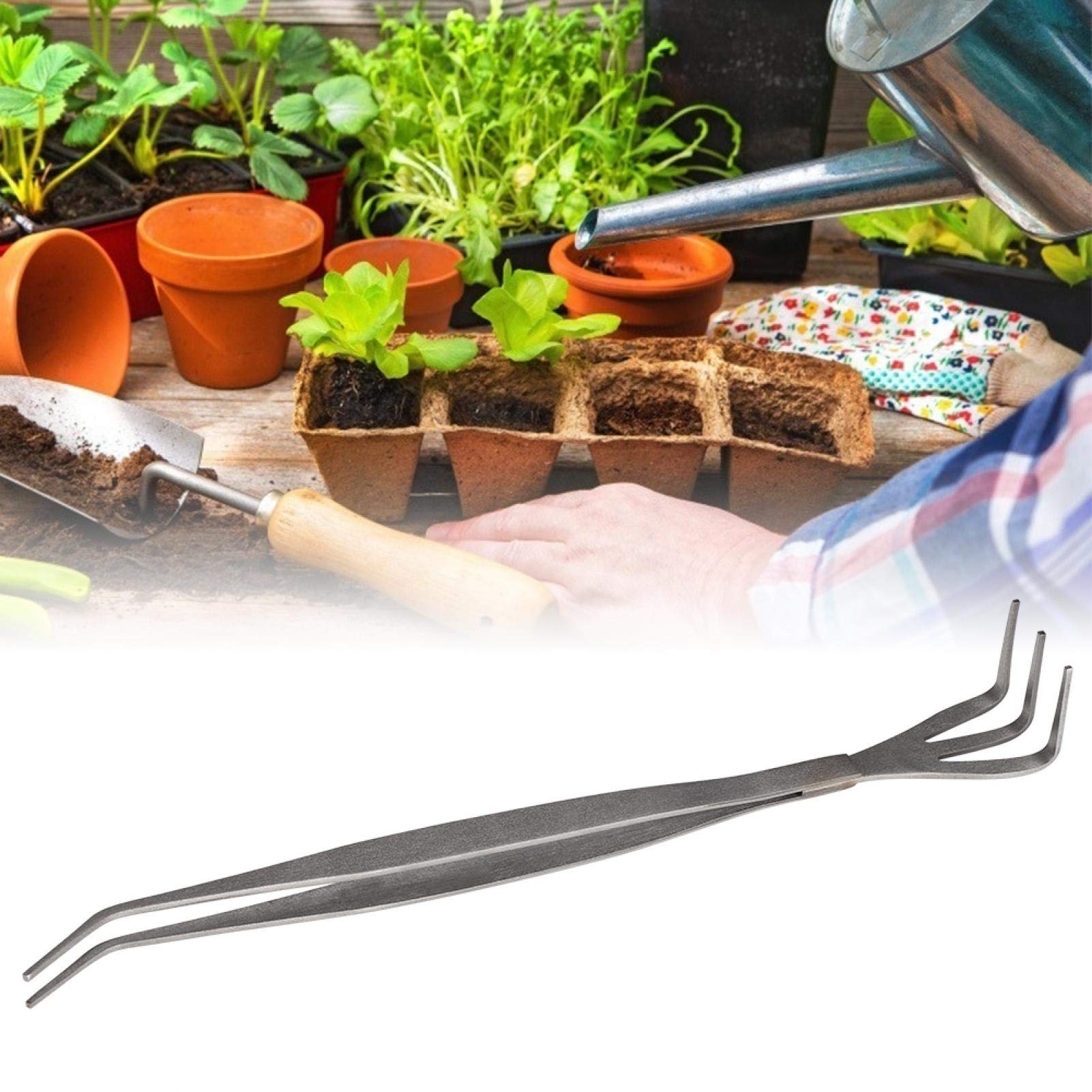 Set De 2 Pinces à Épiler Pour Bonsaï - Outils Râteau Et Spatule En Acier Inoxydable