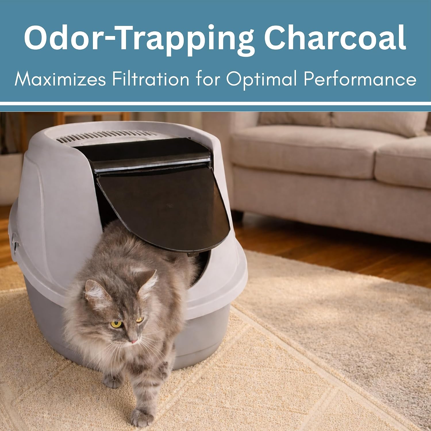 Fresh Headquarters 6-Pack Cat Litter Box Filter Replacement – 3.15"x6.69" Activated Carbon Charcoal Filter | Premium Filters for AmazonBasics Hooded Covered Cat Litter Box | Made in USA